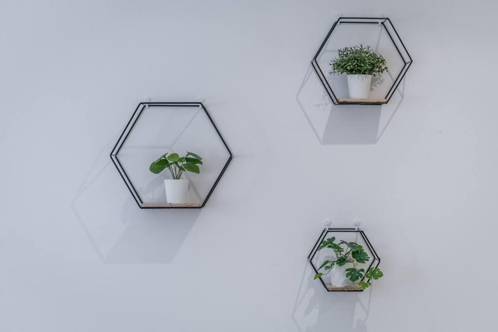 Sotto Le Due Torri 5* Leilighet Bologna Eksteriør bilde